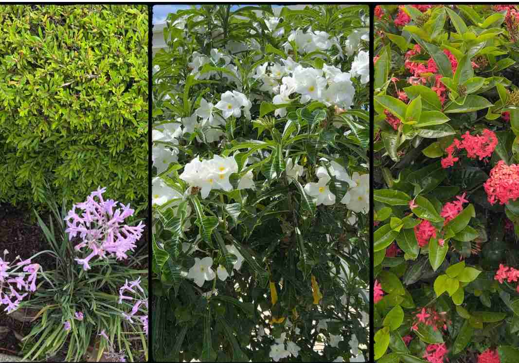 Cultivating a Sustainable Future - Our Groundskeeping Practices
